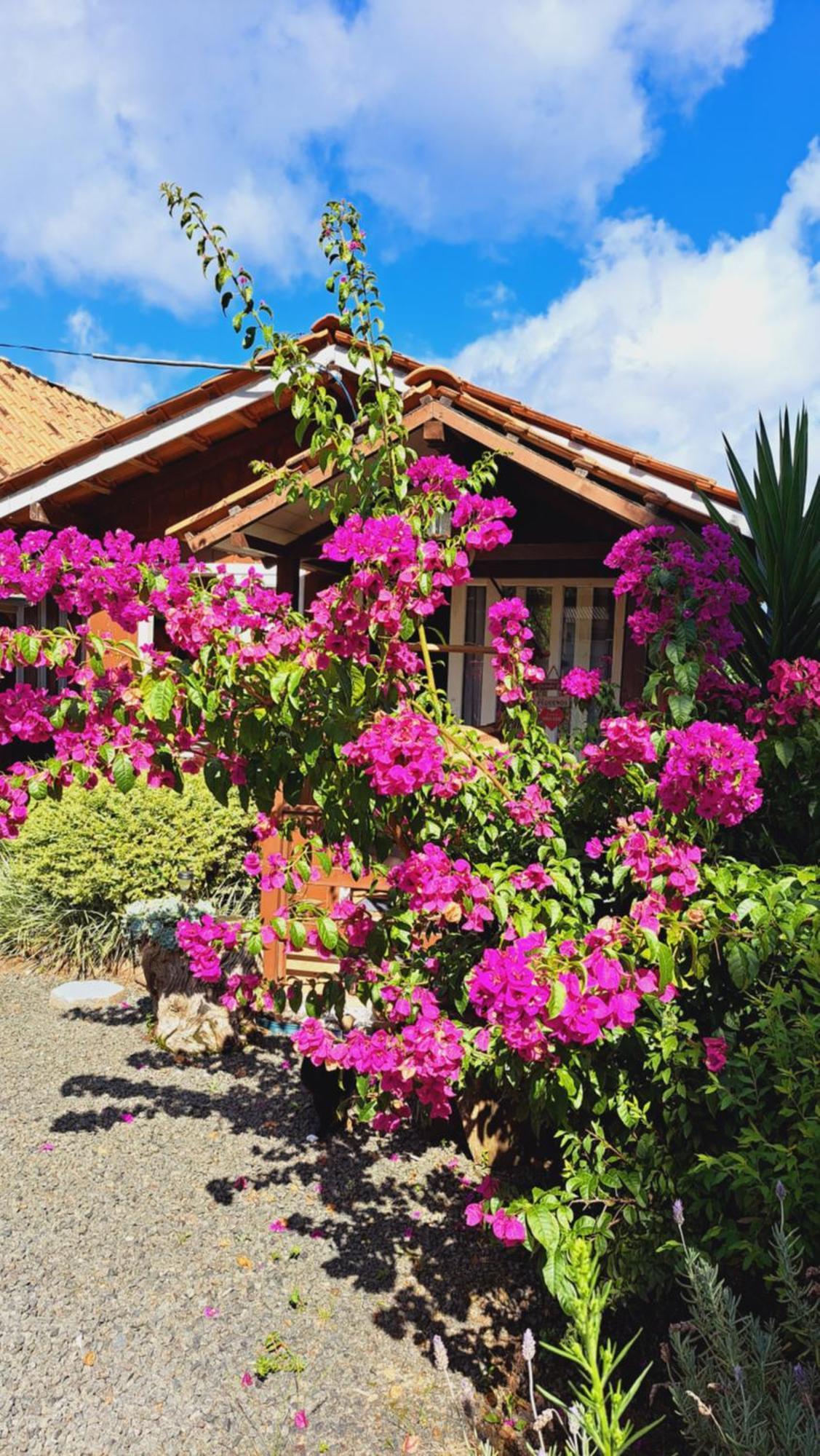 Chales Doce Luar Casas De Temporada Urubici Phòng bức ảnh